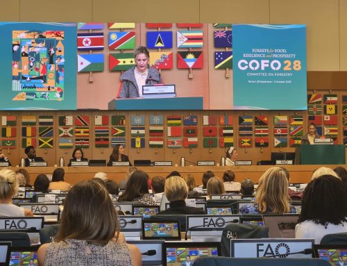 Serbia, Svezia E Filippine Presentano Tradizioni E Moda Sostenibile Alla Fao